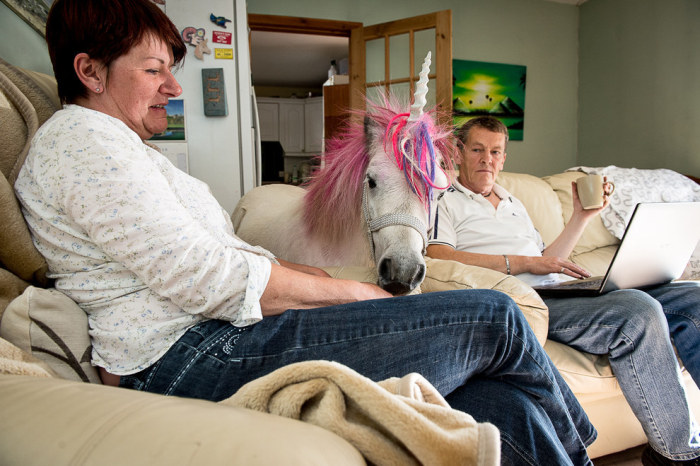 Meet The Couple That Shares Their House With A Unicorn (10 pics)