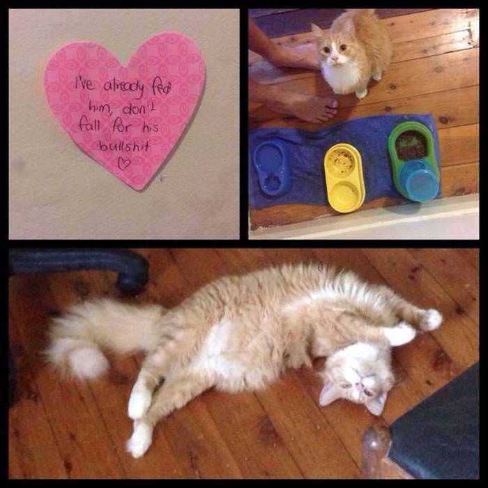 These Are The Hilarious Signs Of True Love (40 pics)