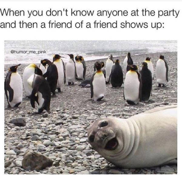 Memes That Will Have You Cracking Up In No Time (38 pics)