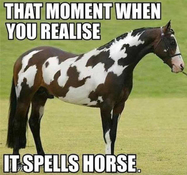 Memes That Will Have You Cracking Up In No Time (38 pics)