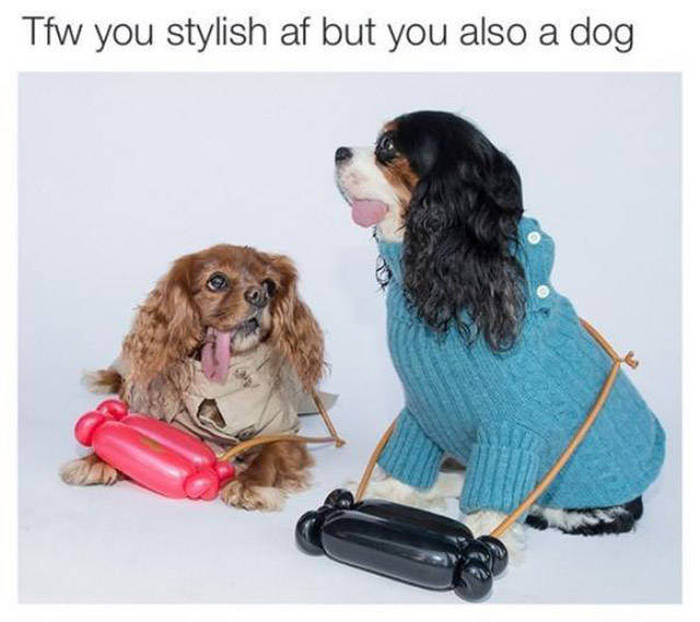 Memes That Will Have You Cracking Up In No Time (38 pics)