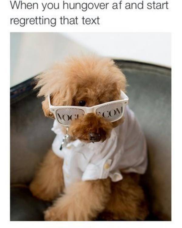 Memes That Will Have You Cracking Up In No Time (38 pics)