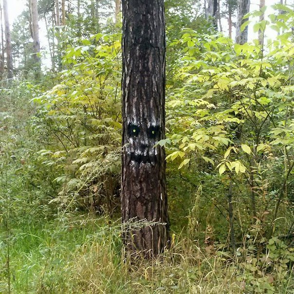 Somebody Put Faces On All The Trees (3 pics)
