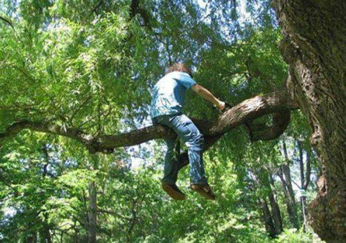 These People Are Prime Candidates For Darwin Awards (31 pics)