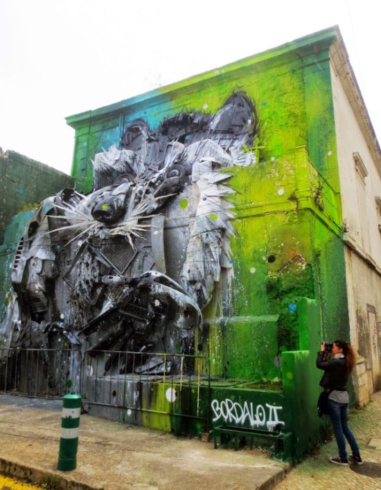 Big Raccoon Gets Turned Into 3D Street Art (3 pics)