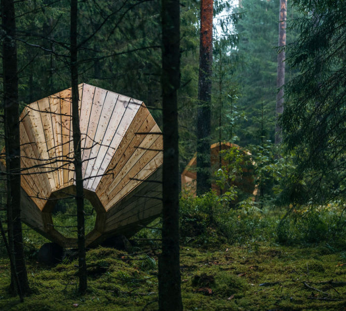 These Estonian Students Built Giant Wooden Megaphones, Find Out Why (10 pics)