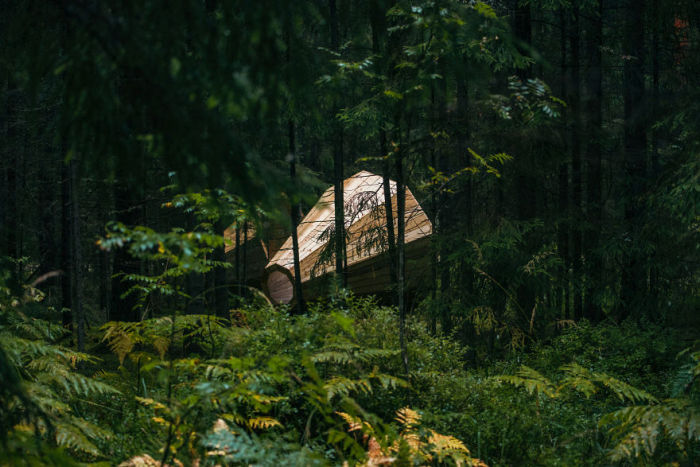 These Estonian Students Built Giant Wooden Megaphones, Find Out Why (10 pics)