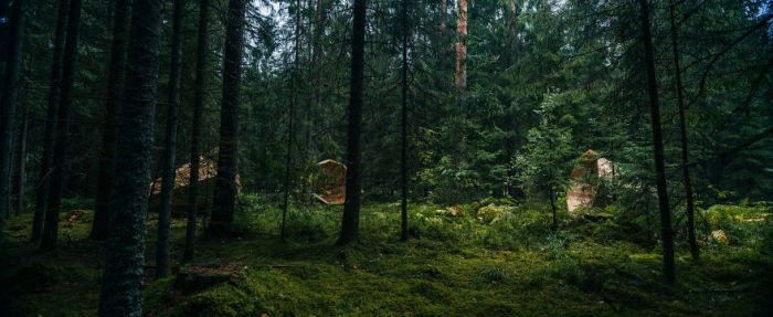 These Estonian Students Built Giant Wooden Megaphones, Find Out Why (10 pics)