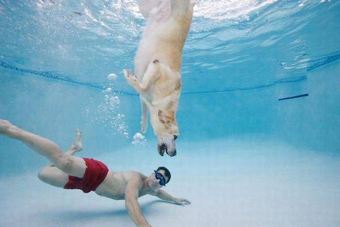 Acid Picdump (100 pics)