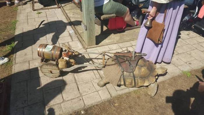 Acid Picdump (100 pics)