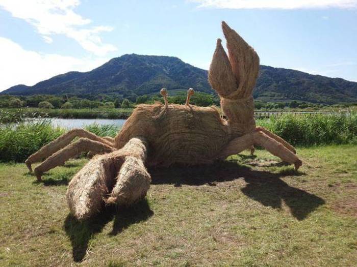 Acid Picdump (100 pics)