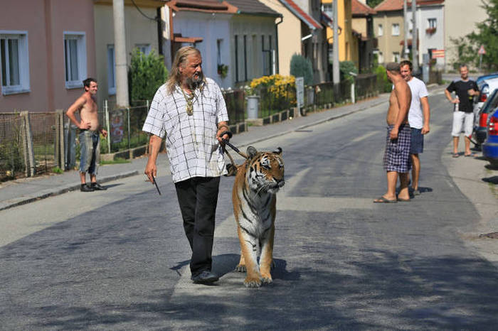 Acid Picdump (100 pics)