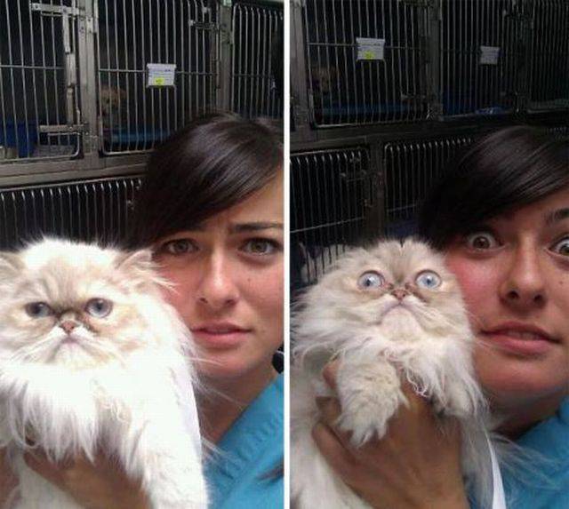 Acid Picdump (100 pics)