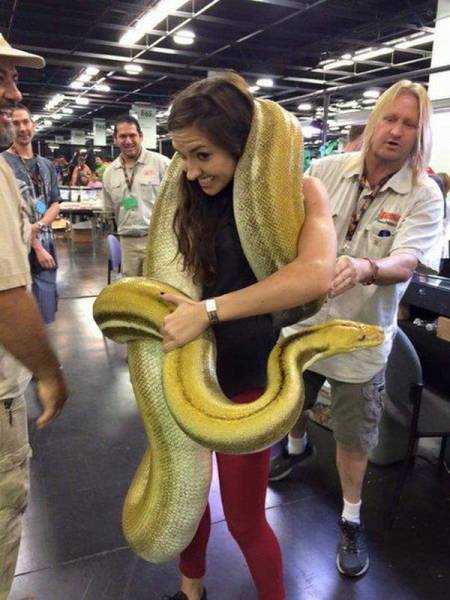Acid Picdump (100 pics)