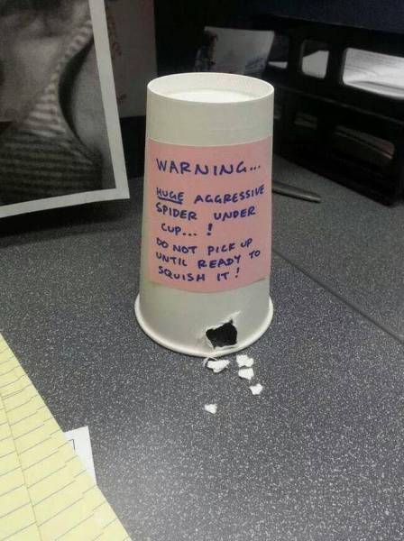 Acid Picdump (100 pics)
