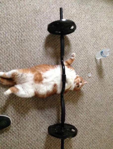 Acid Picdump (100 pics)