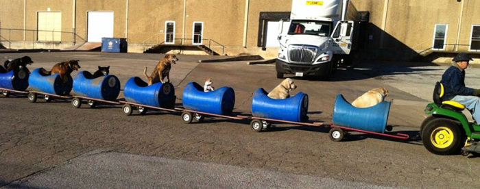 This 80 Year Old Man Built A Special Train So He Could Take Rescue Dogs For Rides (5 pics)