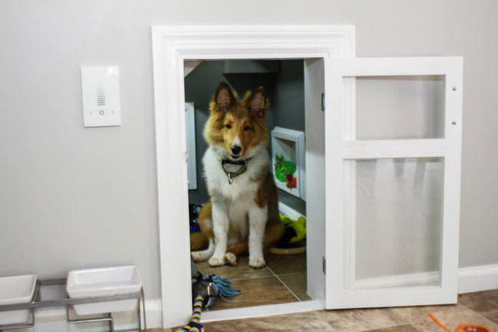 This Dog Has His Very Own Room Under The Stairs (11 pics)