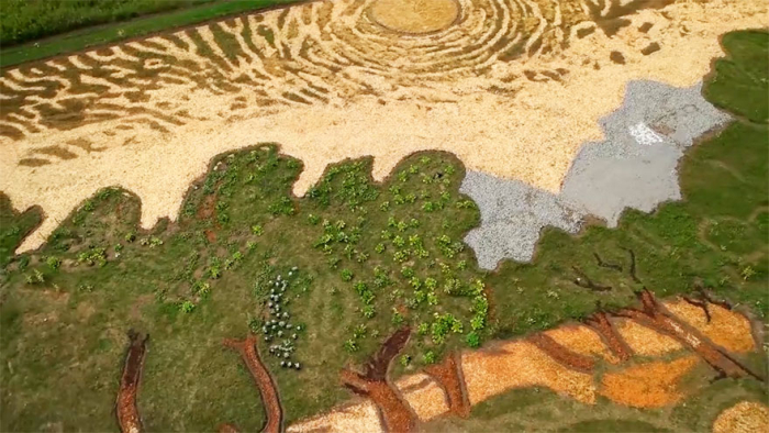 Artist Uses Field To Recreate Van Gogh’s 1889 Painting ‘Olive Trees’ (5 pics + video)