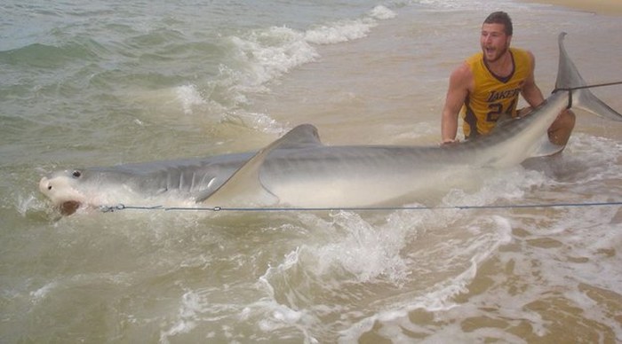 Meet The Teen That Catches Massive Sharks (10 pics)