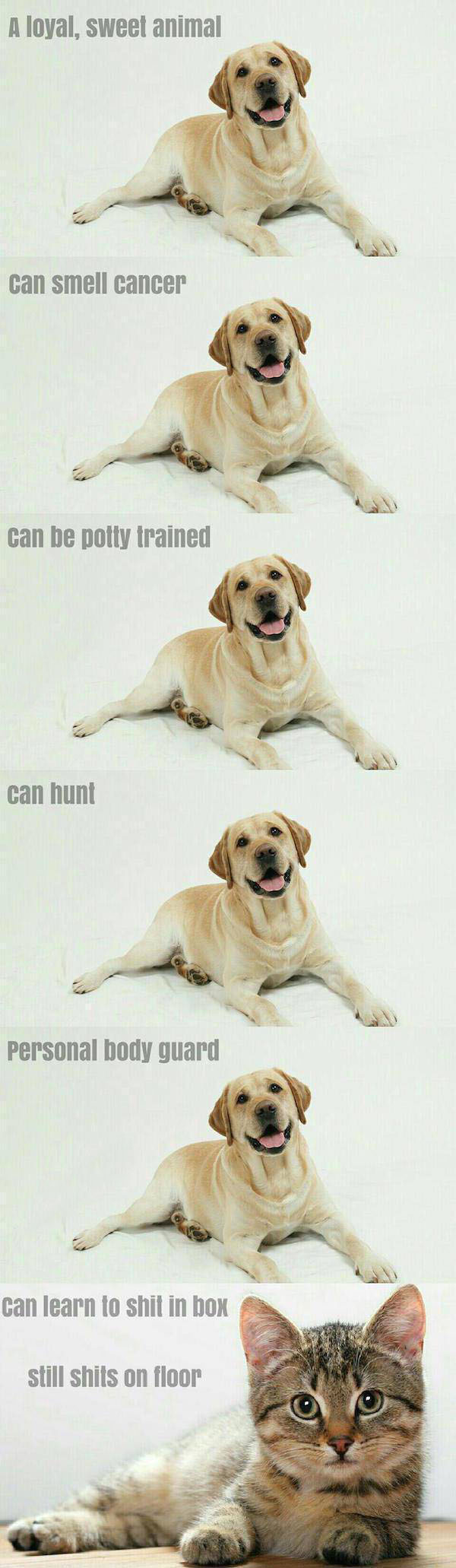 More Hilarious Memes To Make You Laugh When You Need It Most (36 pics)