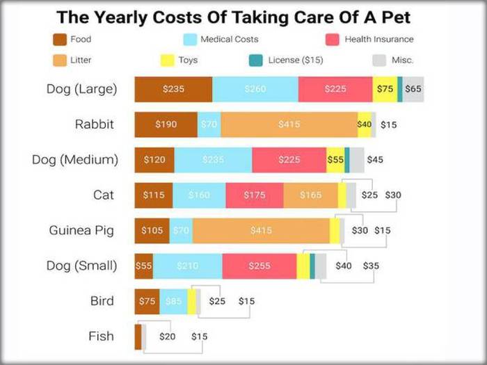 You'll Learn A Lot Of Useful Information From These Random Graphs (25 pics)