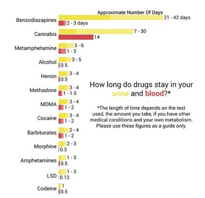 You'll Learn A Lot Of Useful Information From These Random Graphs (25 pics)