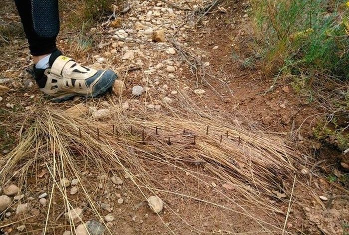 Secret Trap Is Trying To Hurt People On The Bike Trail (5 pics)