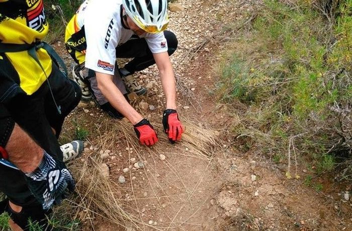 Secret Trap Is Trying To Hurt People On The Bike Trail (5 pics)