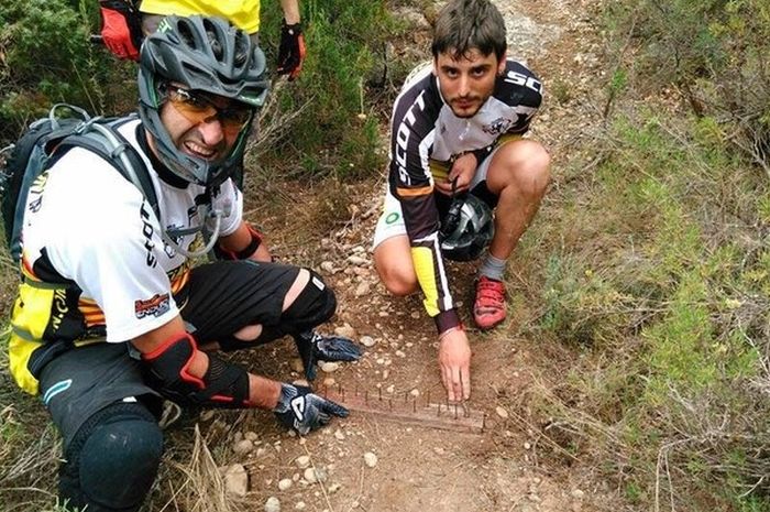 Secret Trap Is Trying To Hurt People On The Bike Trail (5 pics)