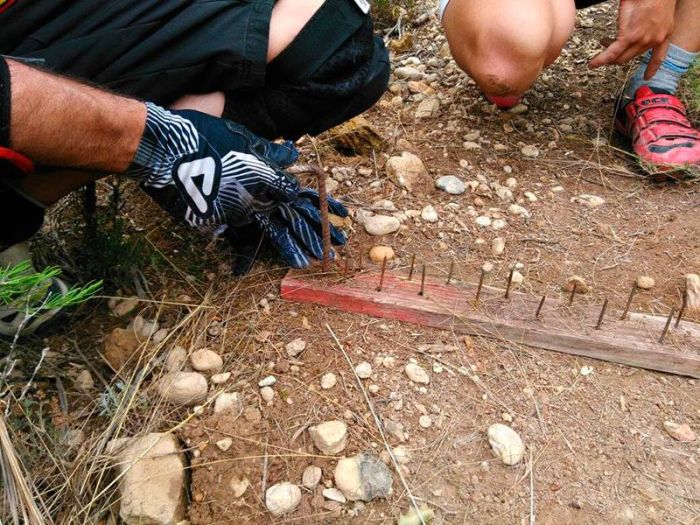 Secret Trap Is Trying To Hurt People On The Bike Trail (5 pics)