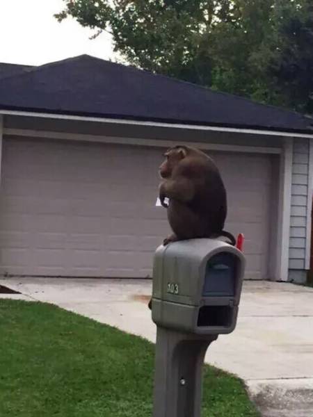 Acid Picdump (115 pics)