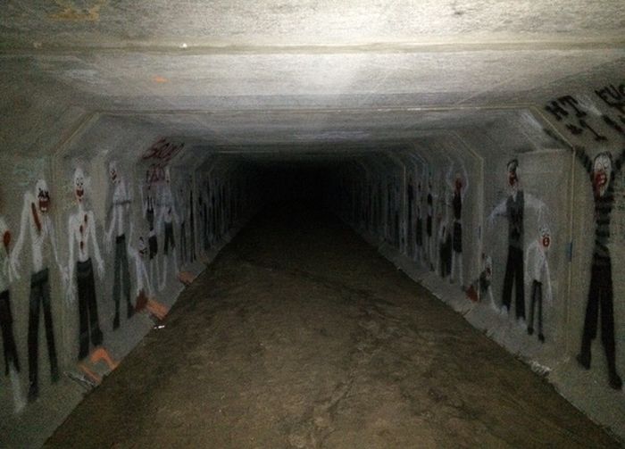 Acid Picdump (115 pics)