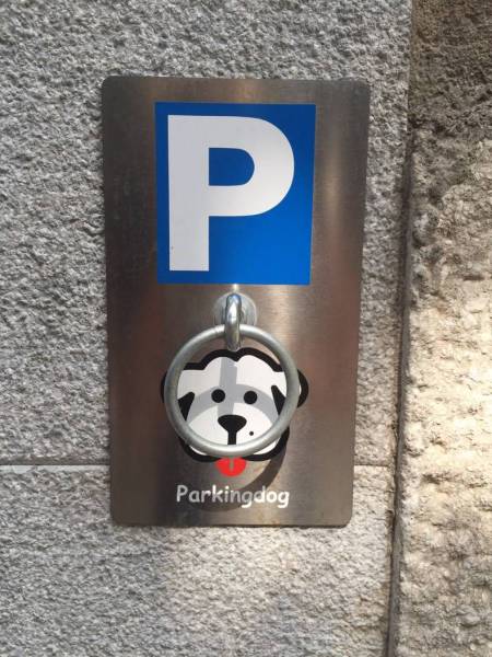 Acid Picdump (115 pics)