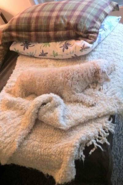 Acid Picdump (115 pics)