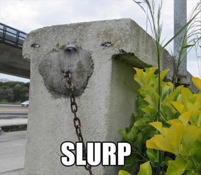 Acid Picdump (115 pics)