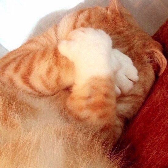Acid Picdump (115 pics)