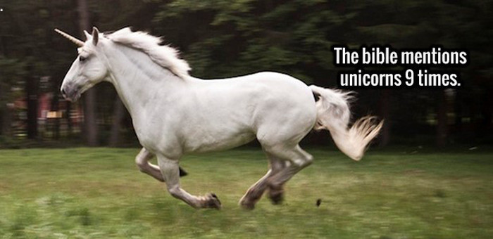 Give Your Brain A Boost With These Random Facts (20 pics)
