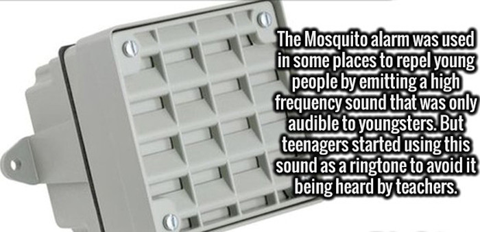 Give Your Brain A Boost With These Random Facts (20 pics)