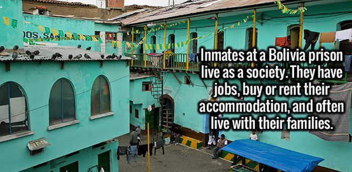 Give Your Brain A Boost With These Random Facts (20 pics)