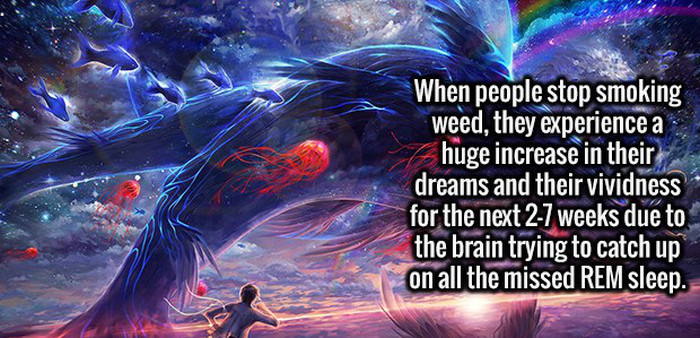 Give Your Brain A Boost With These Random Facts (20 pics)