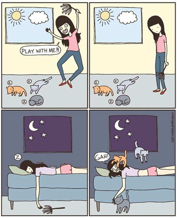 Funny Comics Perfectly Describe What It's Like To Own A Cat (20 pics)