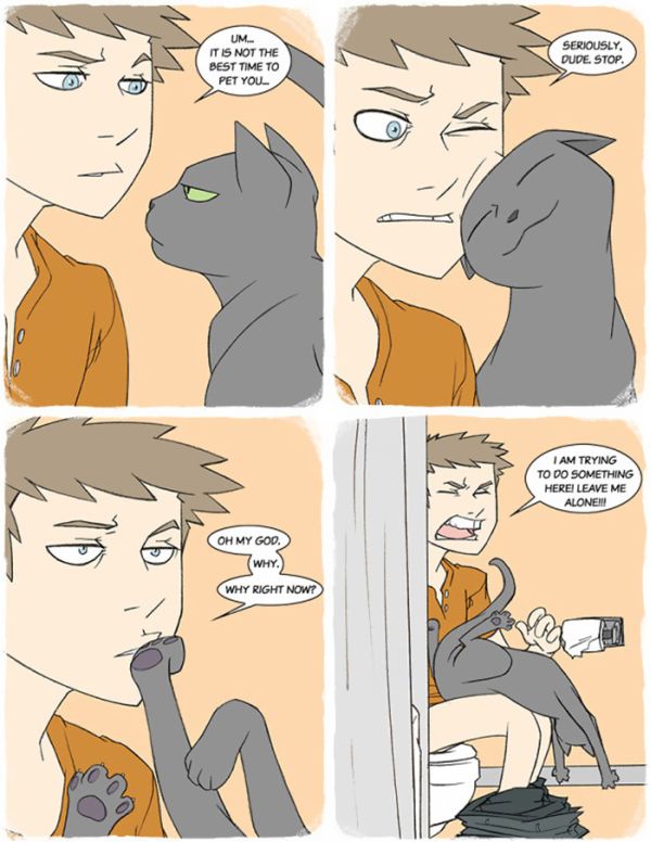 Funny Comics Perfectly Describe What It's Like To Own A Cat (20 pics)