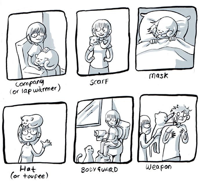 Funny Comics Perfectly Describe What It's Like To Own A Cat (20 pics)