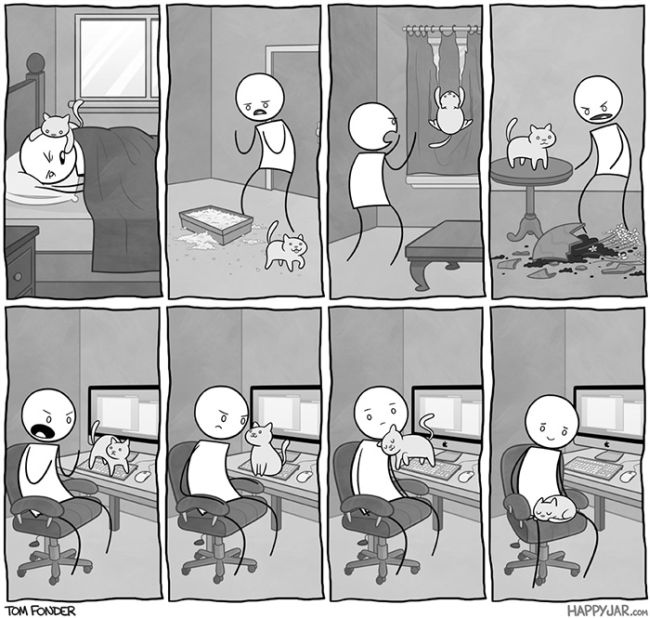 Funny Comics Perfectly Describe What It's Like To Own A Cat (20 pics)