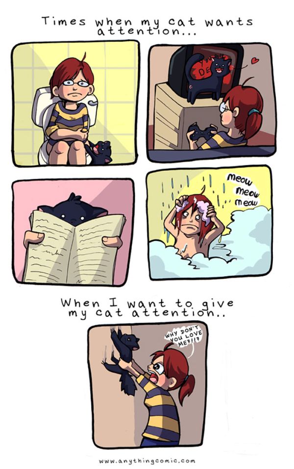 Funny Comics Perfectly Describe What It's Like To Own A Cat (20 pics)