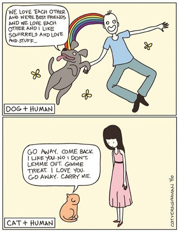 Funny Comics Perfectly Describe What It's Like To Own A Cat (20 pics)