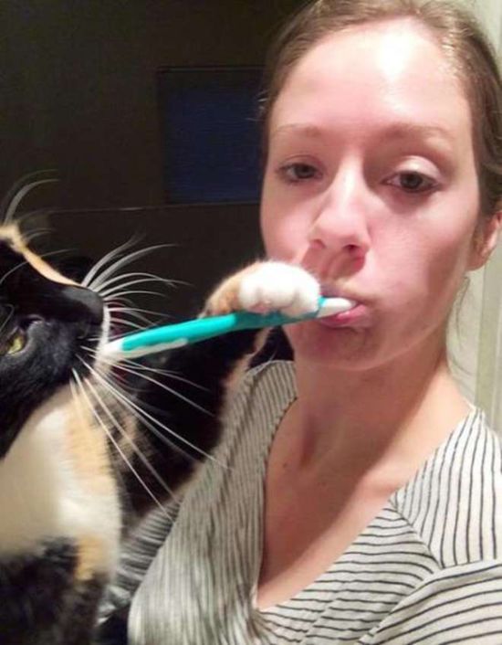 You Can Always Count On A Cat To Invade Your Personal Space (35 pics)