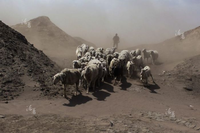 A Look Inside The Life Of A Miner (18 pics)