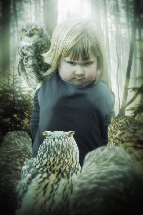 Unhappy Girl Holds An Owl, The Internet Reacts Accordingly (17 pics)